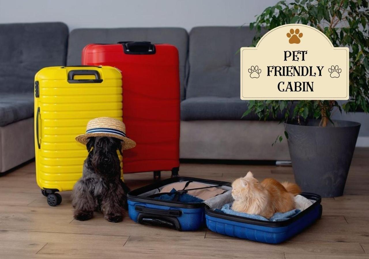 Fabulous Pet-Friendly, Family Cabin With Outdoor Kitchen, Hot Tub, Sauna, Fireplace, Theater Room, Arcade, Pool Table, And Fire Pit Within Minuties Of Dollywood Sevierville Exteriér fotografie